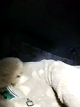 Lai005's cam snapshot