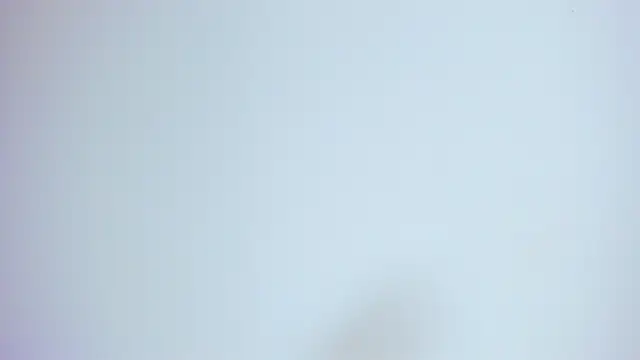 MayaJoint's cam snapshot