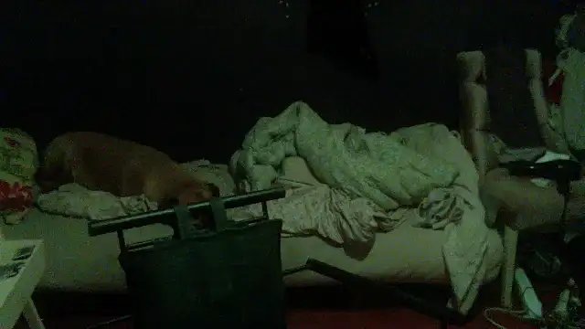 turkishTransEfsun live sex cam