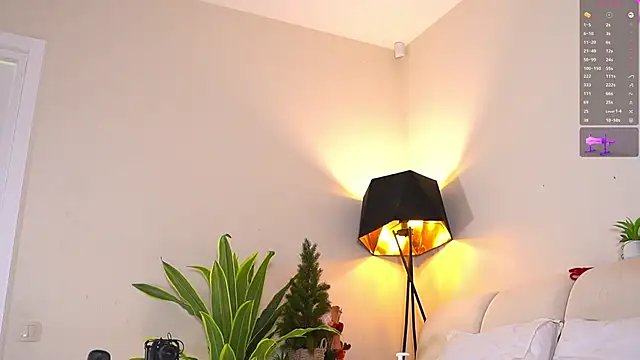 VallieBrandwein live sex cam