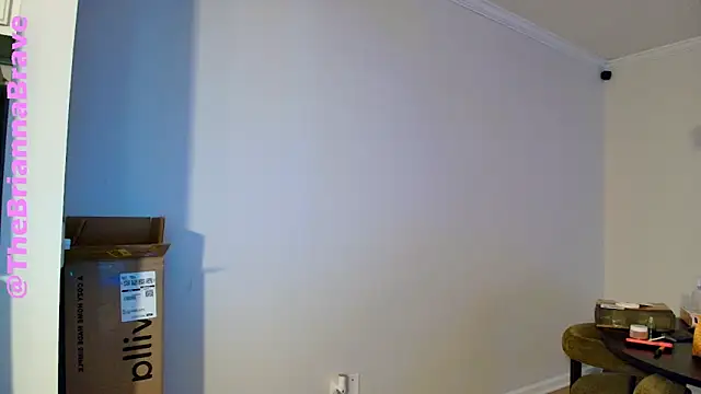 BriannaBrave's cam snapshot