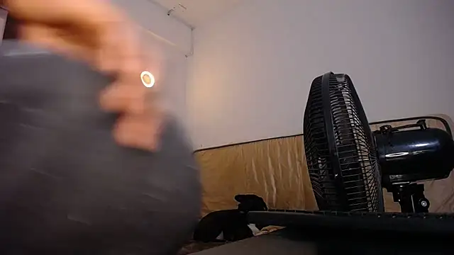 yselahot live sex cam