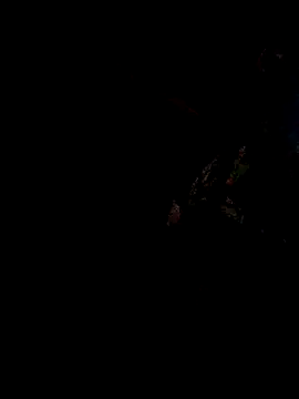 Couples9090 live sex cam