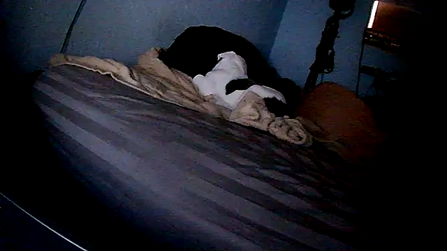 PornStro921's cam snapshot