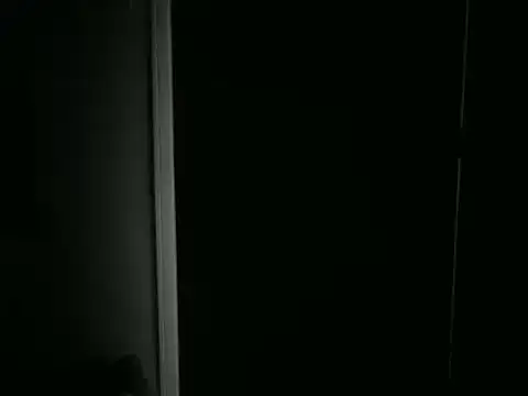 ALPHANDRE's cam snapshot