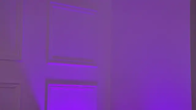 RemyLoon's cam snapshot