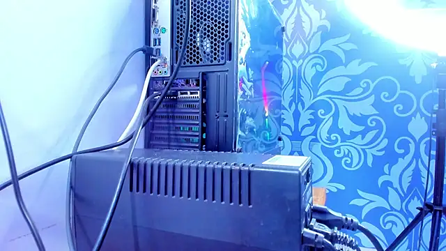 bear_mao_'s cam snapshot