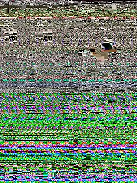 JackHammer2026 live sex cam