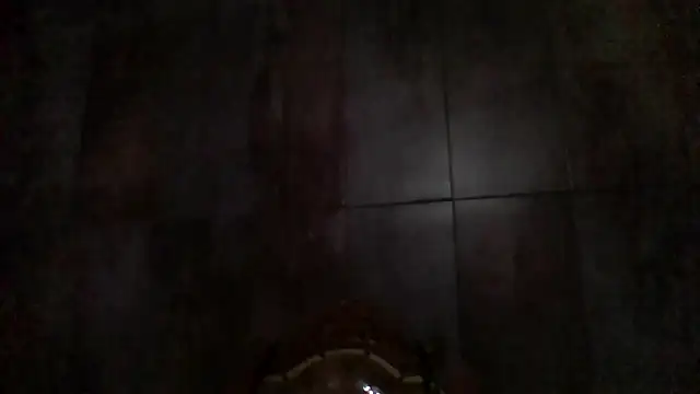 longdickson12345 live sex cam