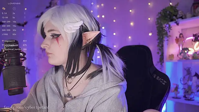 vronnier's cam snapshot