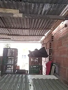 hoteder live sex cam