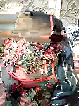 Indian-Nazia's cam snapshot