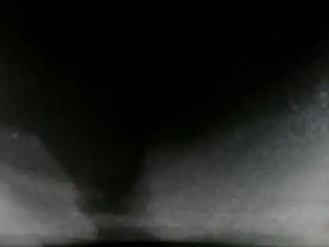 Inxekt's cam snapshot