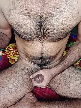 bengali_hard_dick12's cam snapshot