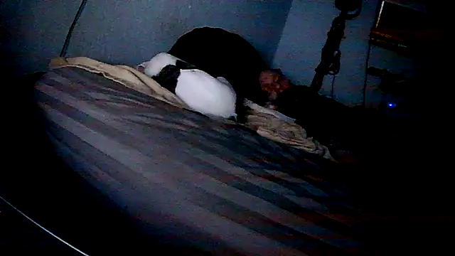 PornStro921's cam snapshot