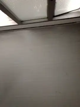 snow_belle's cam snapshot