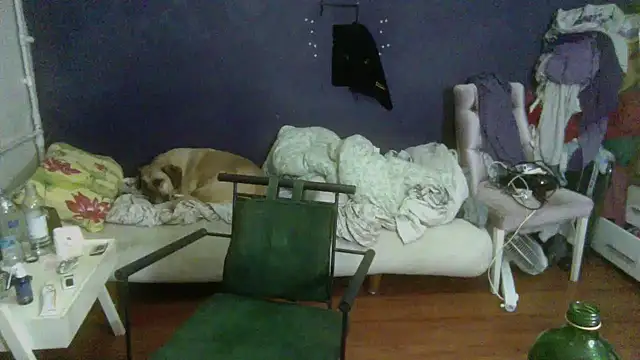 turkishTransEfsun's cam snapshot