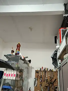 Paul22cm- live sex cam