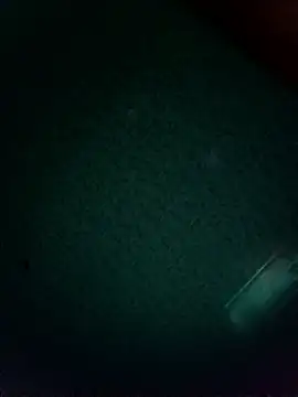 Winterslender's cam snapshot