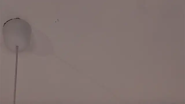 CarollDuemmel's cam snapshot