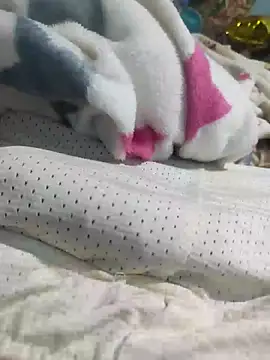 dorain123's cam snapshot