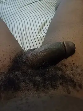 Rural3's cam snapshot