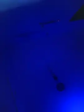 Villageanuty's cam snapshot