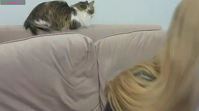 gertanord live sex cam