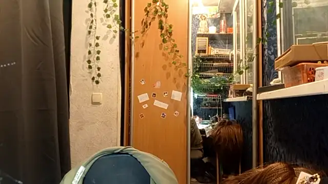 PhoebePalmer's cam snapshot