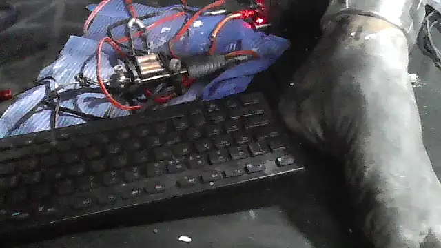 object857 live sex cam