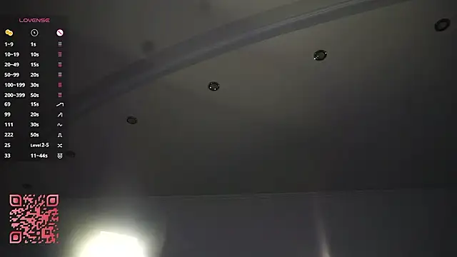 Lanenger's cam snapshot