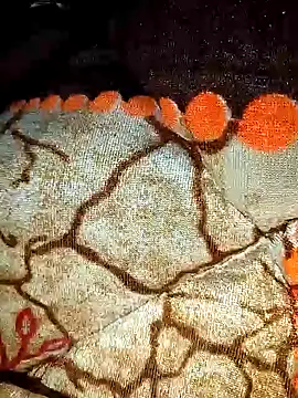 Raj-rajendri__sexy24's cam snapshot