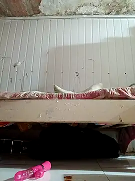 frotasso's cam snapshot