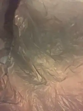 skatebored live sex cam