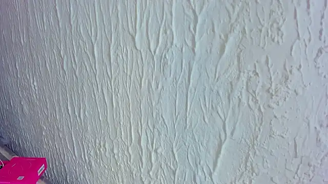 Abella_bunny's cam snapshot