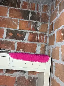 lady_and_charly live sex cam