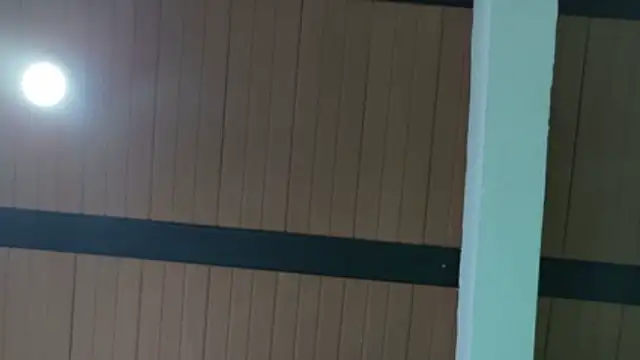 daphne_and_fred's cam snapshot