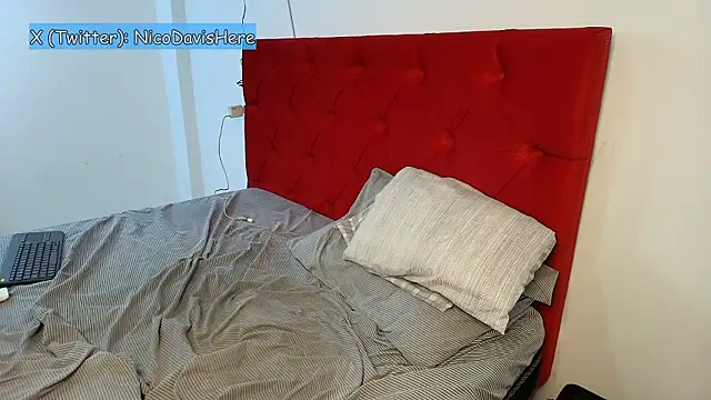 NicoDavisOfficial's cam snapshot