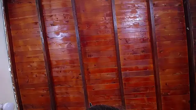 Dante_Ferrara2025's cam snapshot