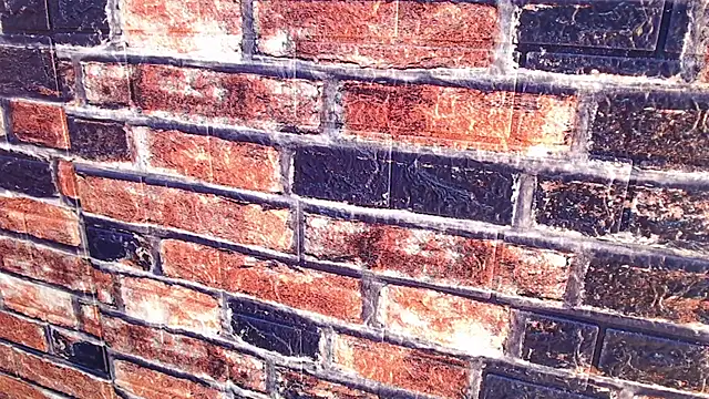 monicamoon303av's cam snapshot