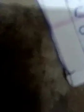 Payal950's cam snapshot