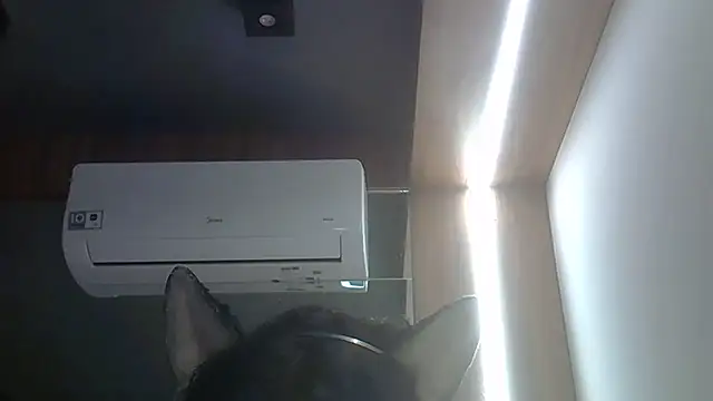 SkinnyKitten live sex cam