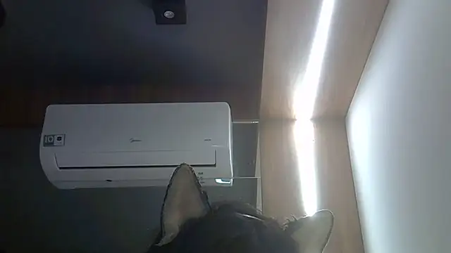 SkinnyKitten live sex cam