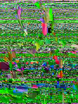 Linaannn's cam snapshot