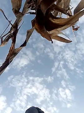 Sherry_she's cam snapshot