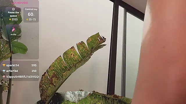 came-a-lot live sex cam