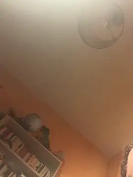 maripocita79 live sex cam