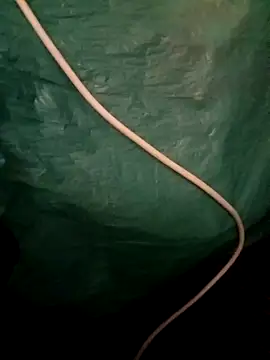 CoralNoise42's cam snapshot