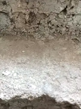 Tamilpaiyan07's cam snapshot