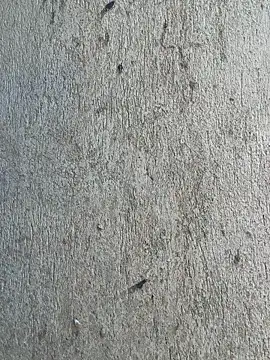 TheaWren live sex cam